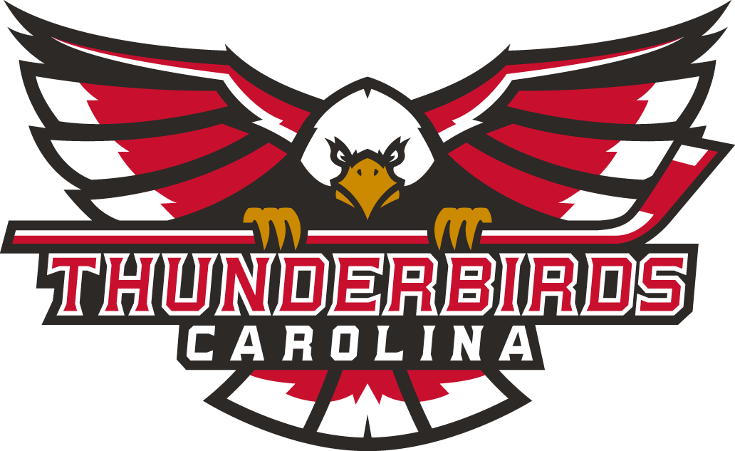 Carolina Thunderbirds 2017-Pres Primary Logo iron on transfers for T-shirts